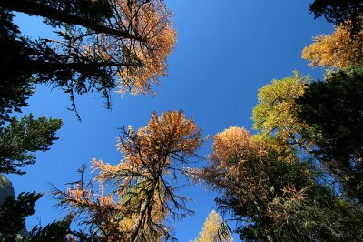 egd_0301.JPG
