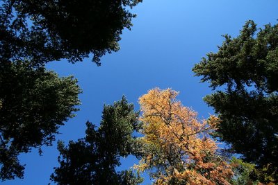 egd_0320.JPG
