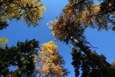 egd_0327.JPG