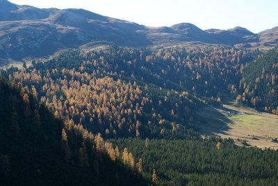 egd_0130.JPG
