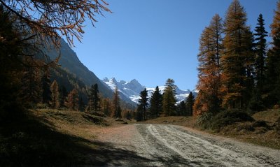 egd_0220.JPG