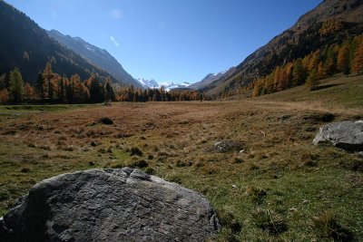 egd_0228.JPG