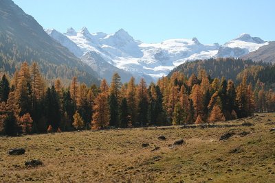 Herbst im Engadin (Schweiz)