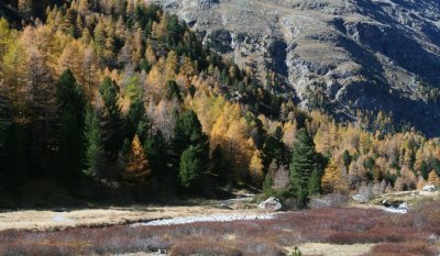 egd_0068.JPG