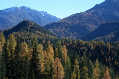 egd_0080.JPG
