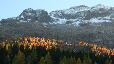 egd_0167.JPG