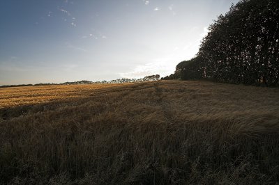 IMG_5326.1.jpg