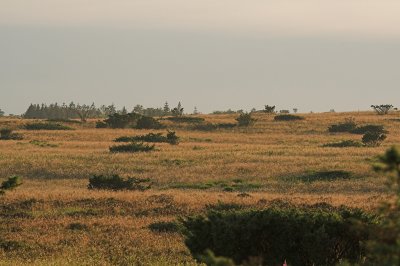 IMG_5344.1.jpg