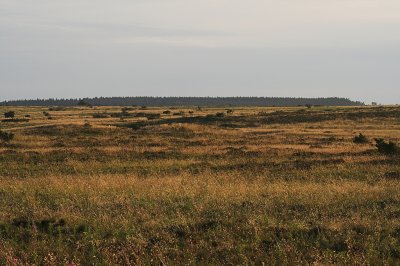 IMG_5345.1.jpg