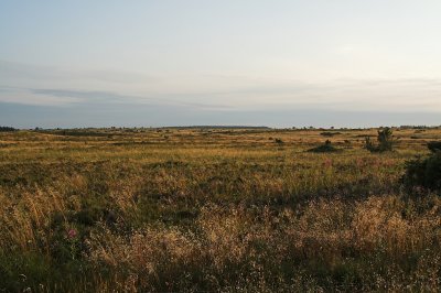 IMG_5347.1.jpg