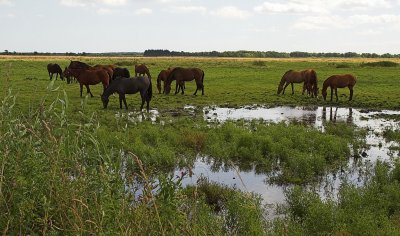 IMG_5308.1.jpg