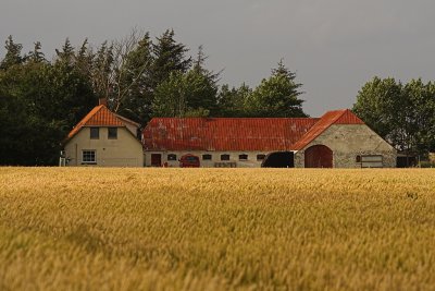 From Grenen to Rubjerg Knude