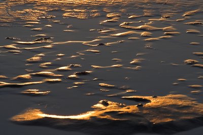 IMG_5733.1.jpg