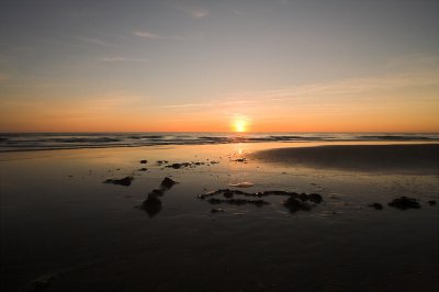 IMG_5761.1.jpg