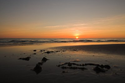 IMG_5785.1.jpg
