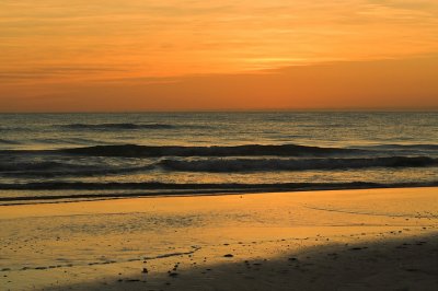 IMG_5815.1.jpg