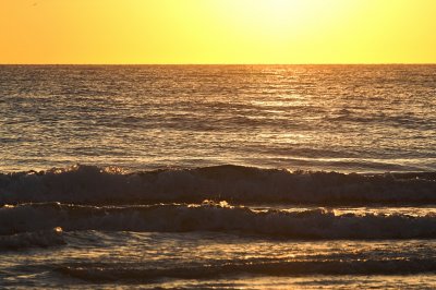 IMG_5728.1.jpg