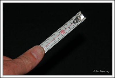 07-01-23 Rule of thumb IMG_0817_w.jpg