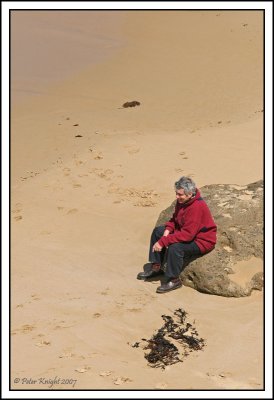 3926 Aireys Inlet coastal path.jpg