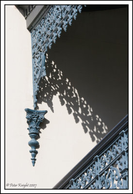 Aug 19 Lacey shadow.jpg