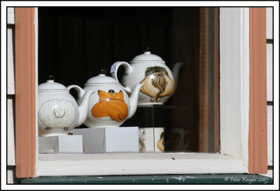Aug 20 Cheeky window display.jpg