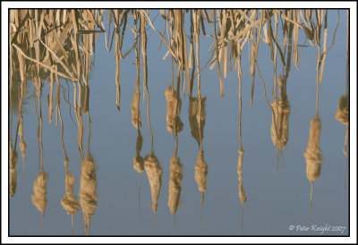 Sep 02 Rushed reflection.jpg