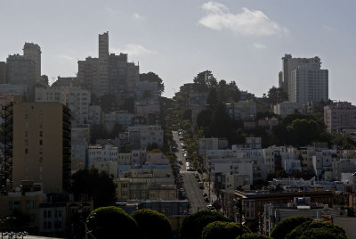 View of Lombard Street from the Roof