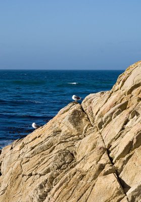 Pebble Beach