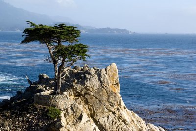 SF Day 4 - September 15th