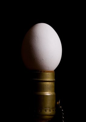 Egg-lectric Light