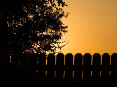 Over The Fence