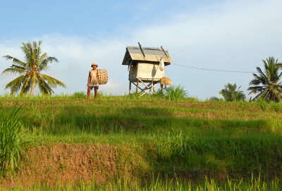 Farmer