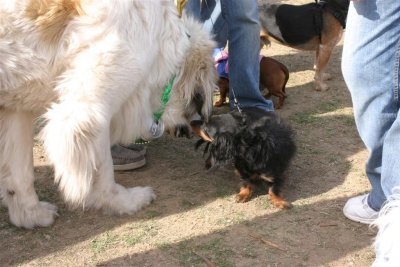 IMG_8415 (Large).JPG
