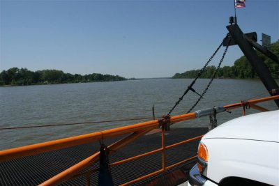 IMG_0247 (Large).JPG