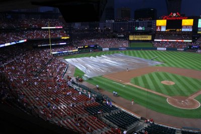 IMG_0091 (Large).JPG