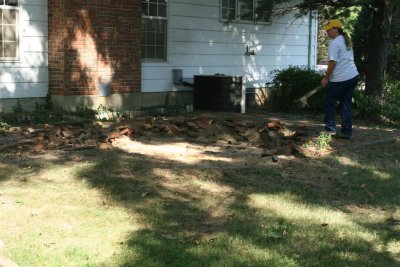 IMG_0180 (Large).JPG