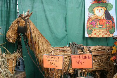 corn horse 2.jpg