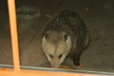 IMG_0325.JPG