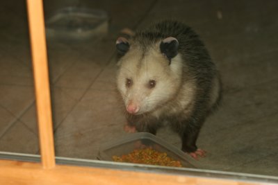 IMG_0326.JPG