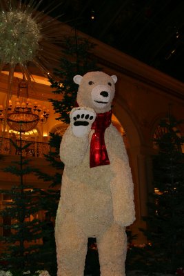 IMG_0013.JPG