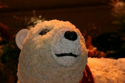IMG_0017.JPG
