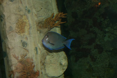 IMG_0046.JPG