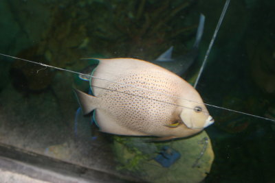 IMG_0047.JPG
