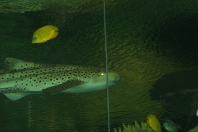 IMG_0049.JPG