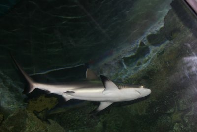 IMG_0050.JPG