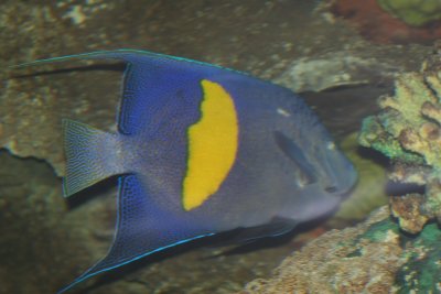 IMG_0051.JPG