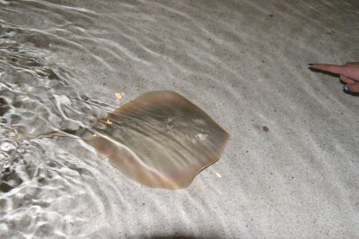 IMG_0058.JPG