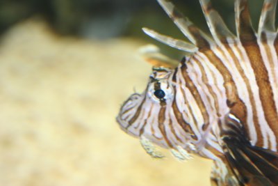 IMG_0065.JPG