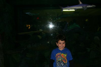 IMG_0069.JPG
