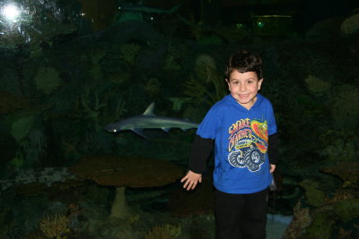 IMG_0070.JPG